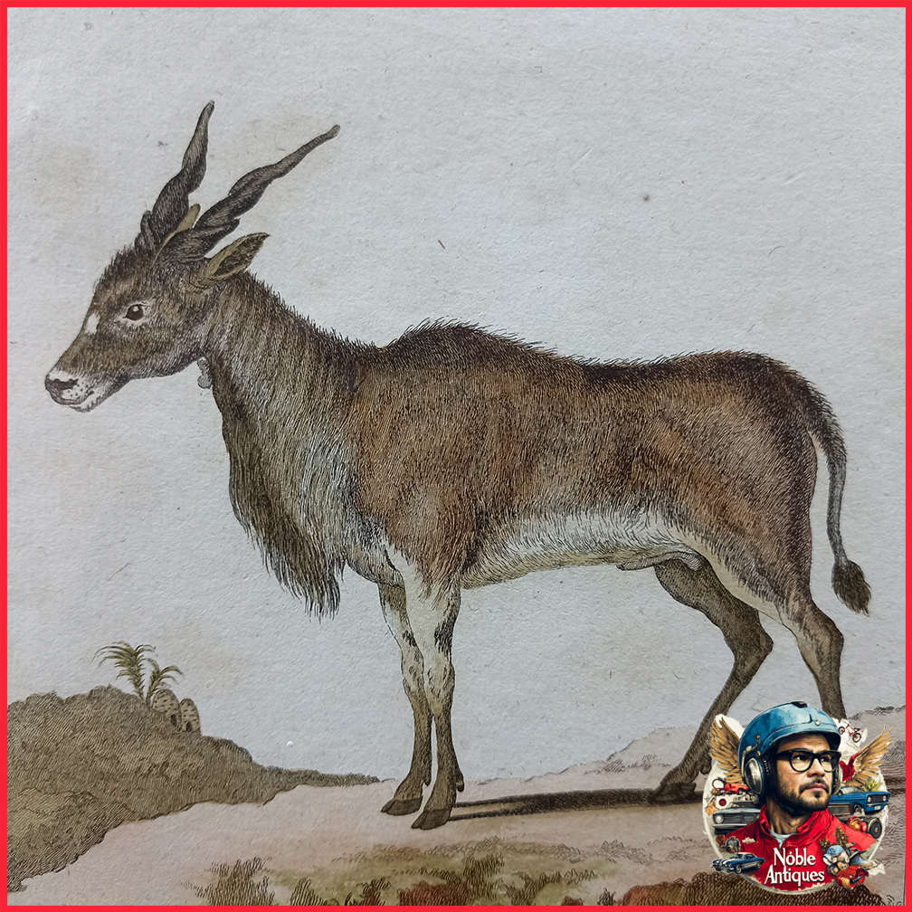 Framed Antique Colored Etch Le Canna