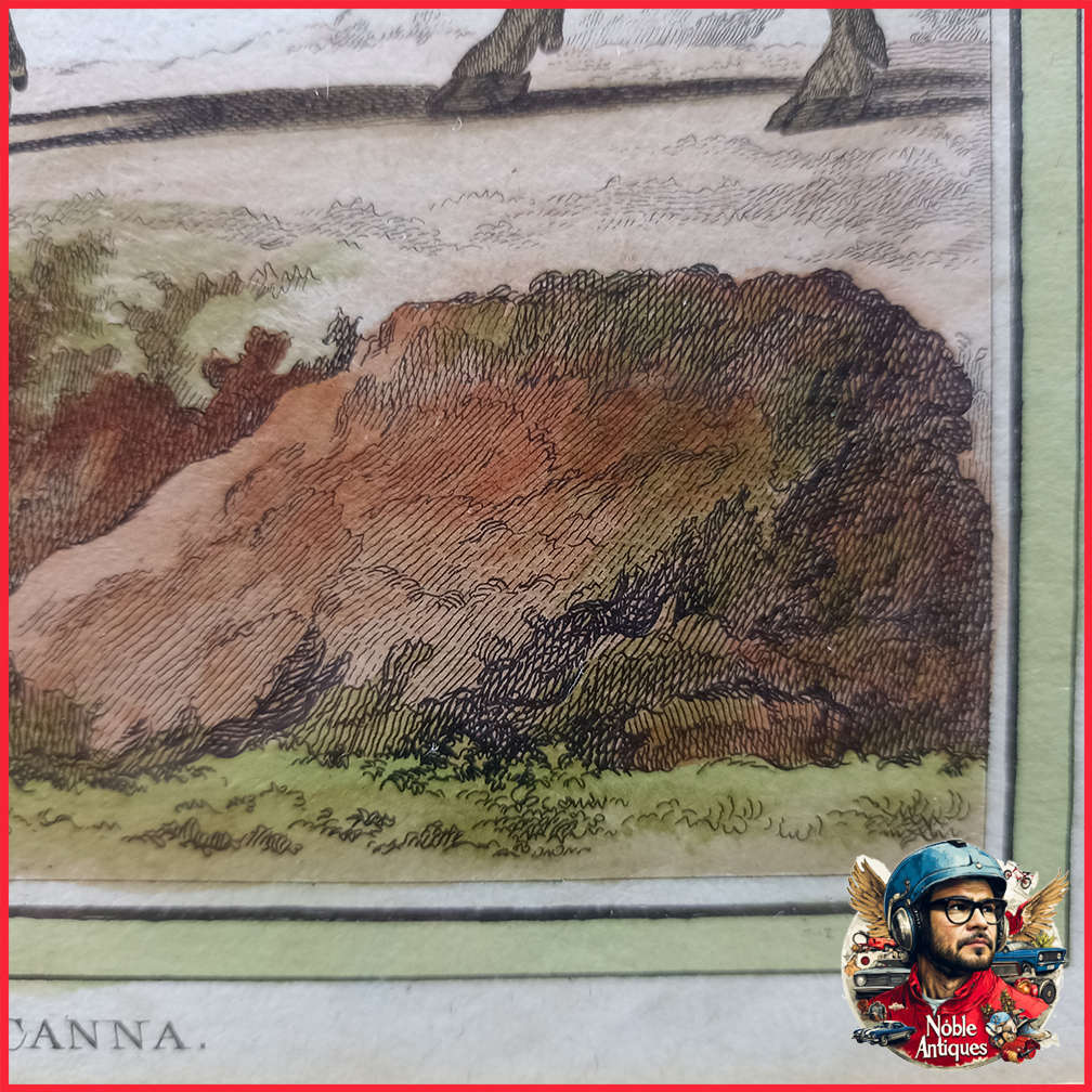 Framed Antique Colored Etch Le Canna