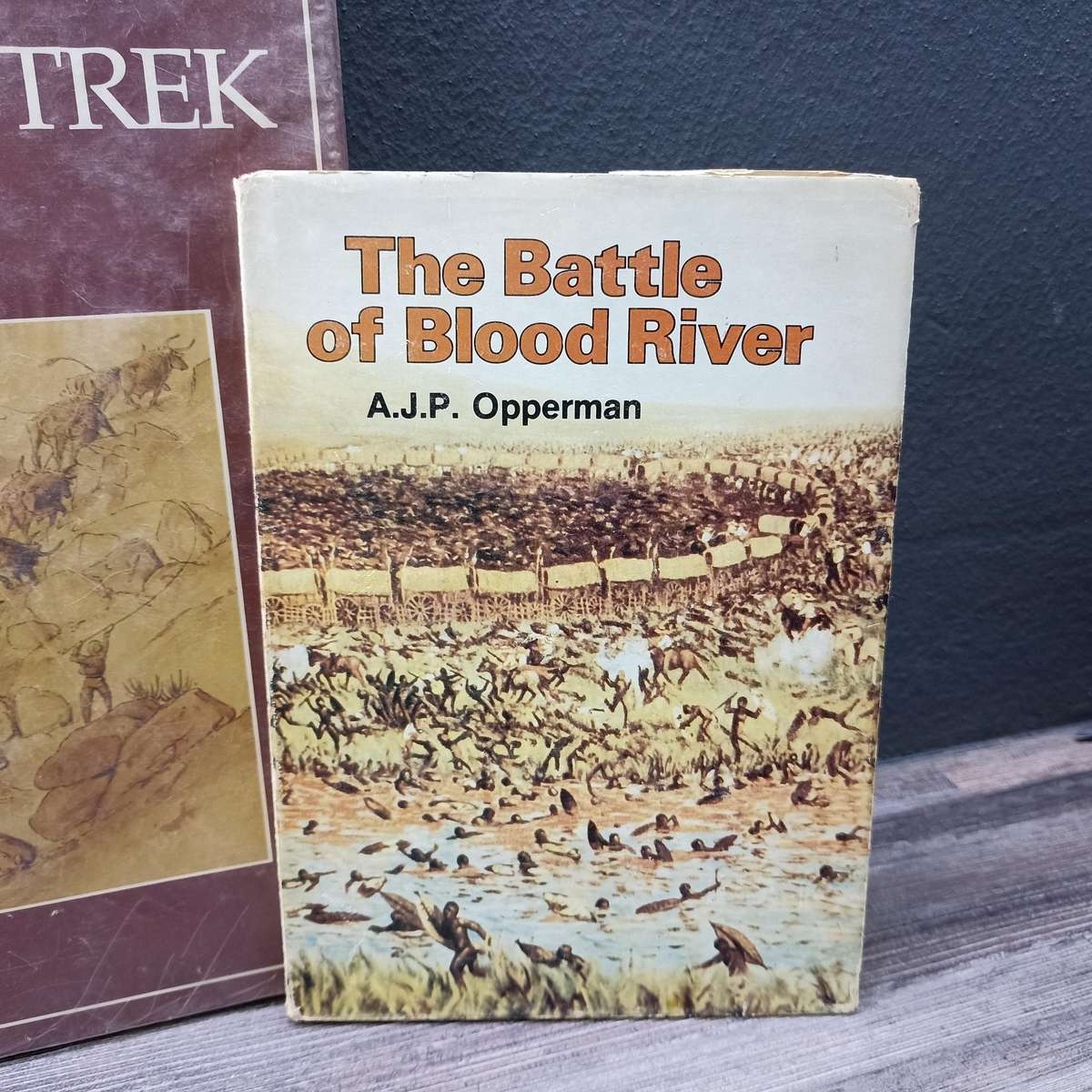 Africana Book Collection