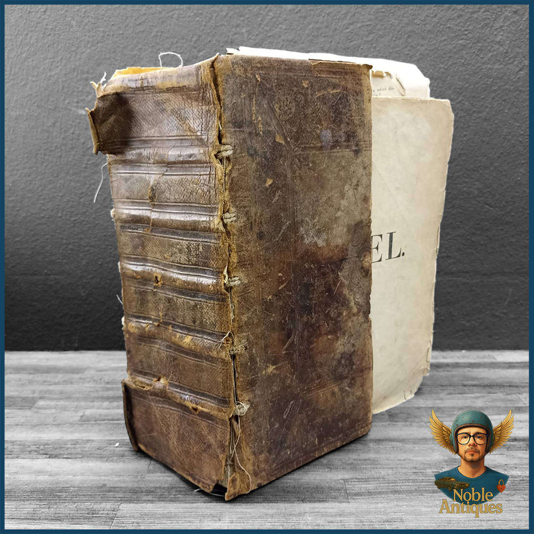 Large Antique Dutch Bible, Printed In 1846 By C. A. Thieme And J. F. Thieme In Arnhem