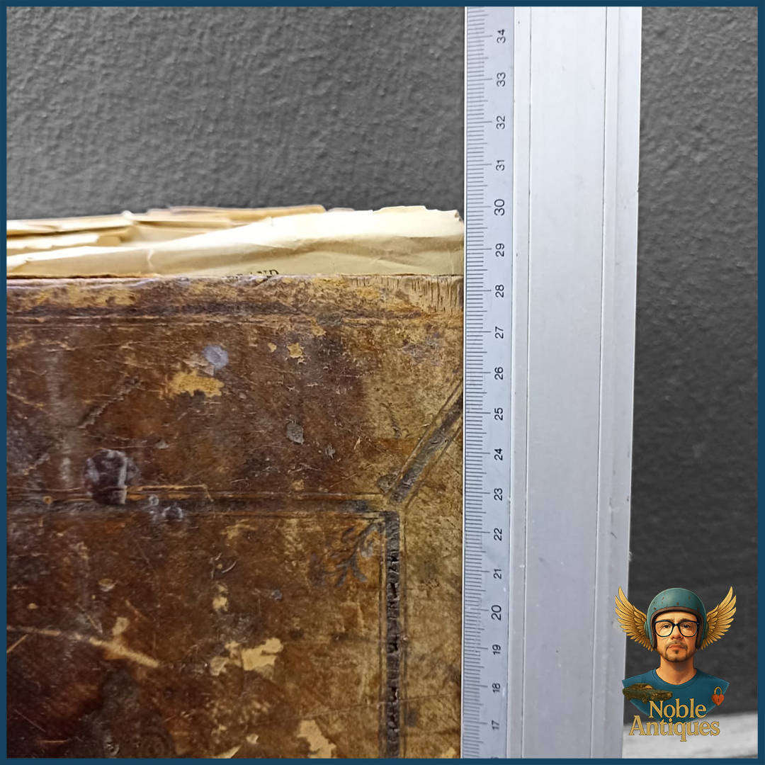 Large Antique Dutch Bible, Printed In 1846 By C. A. Thieme And J. F. Thieme In Arnhem