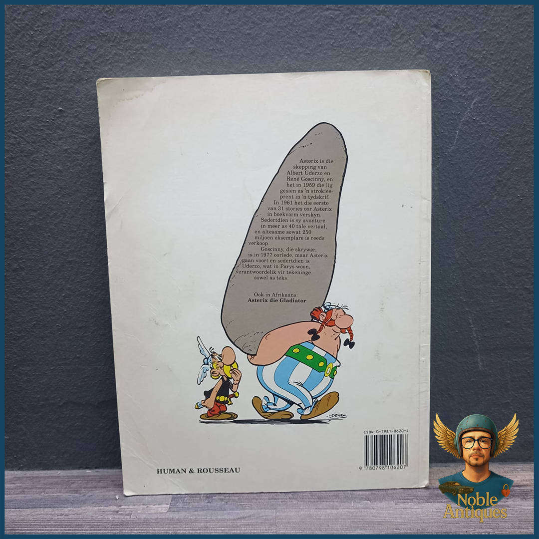 Asterix en die Noormanne