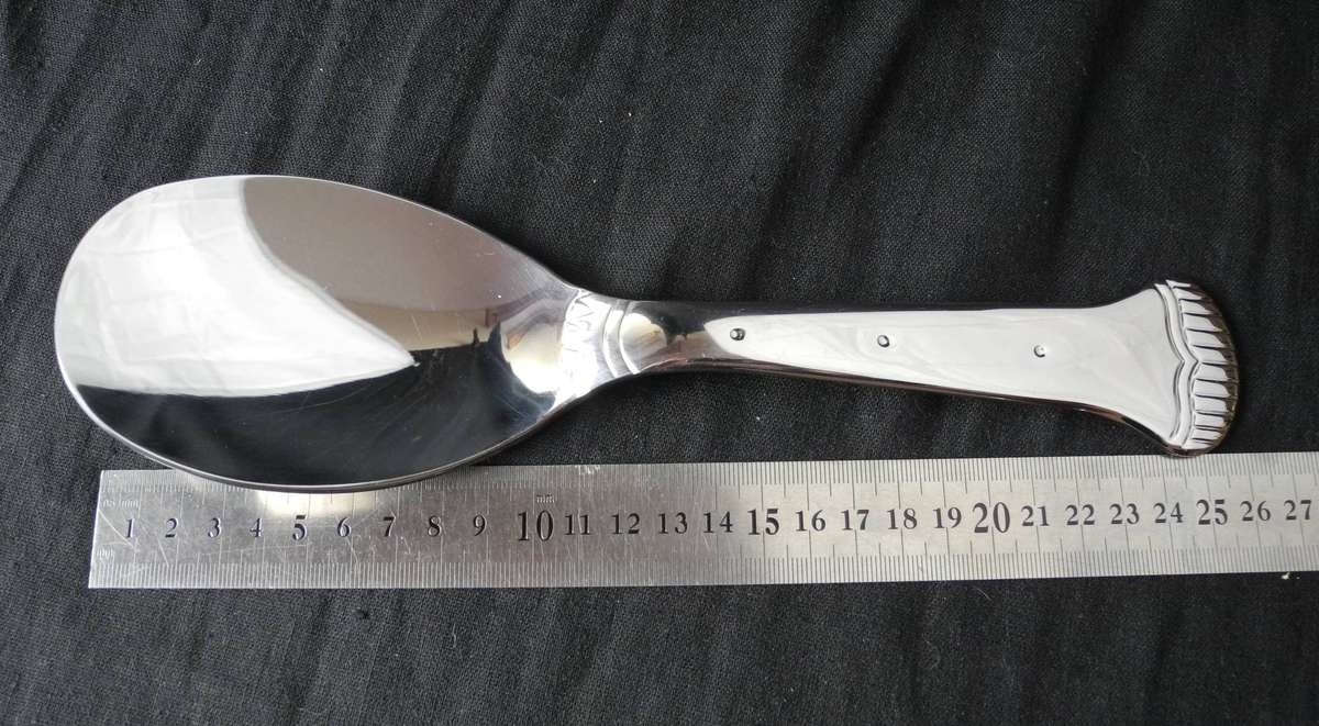 Carrol Boyes Large Stainless Steel Serving Spoon