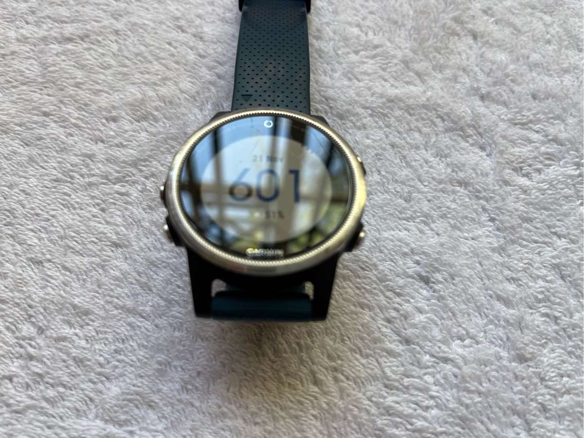 Garmin Fenix 5S Watch