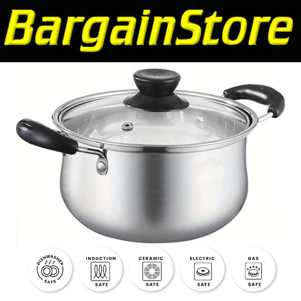 22cm Stainless Steel Pot with Lid