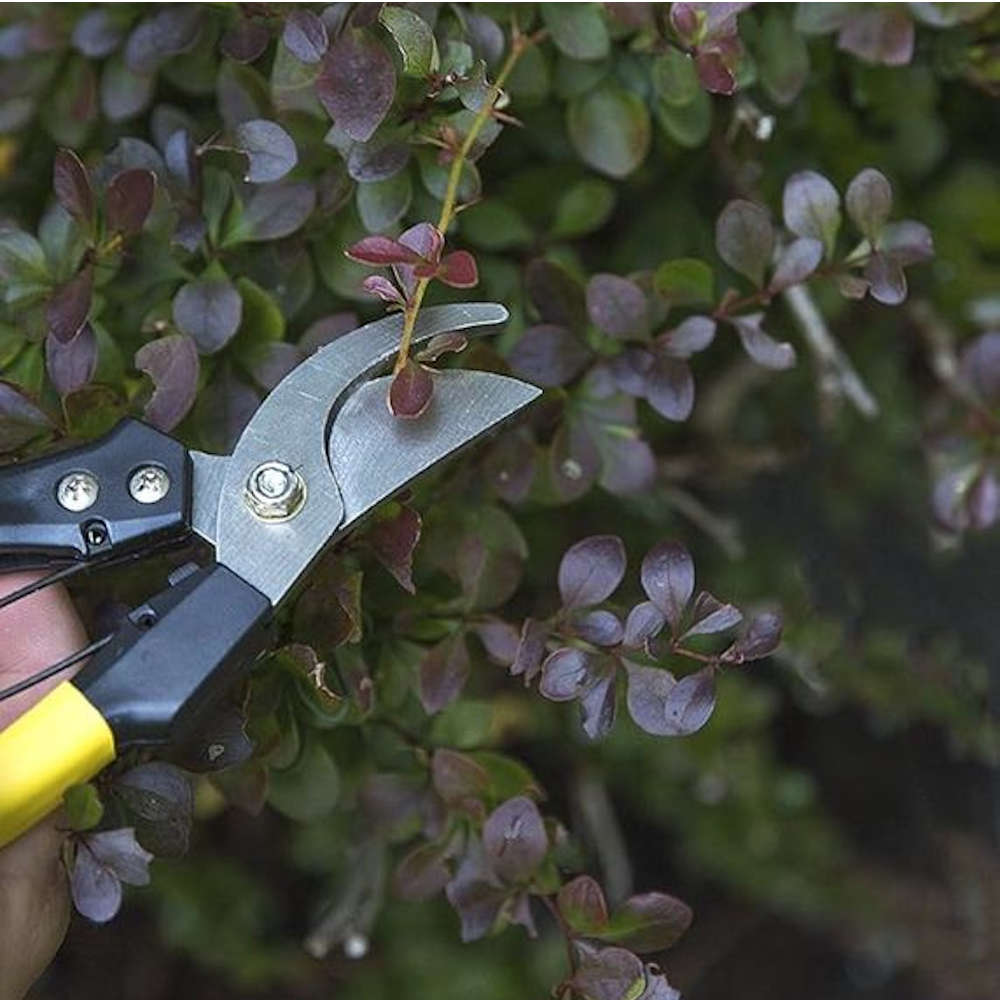 3 Piece Heavy Duty Garden Pruning Shear Set