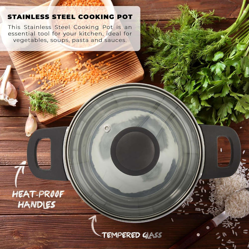 22cm Stainless Steel Pot with Lid