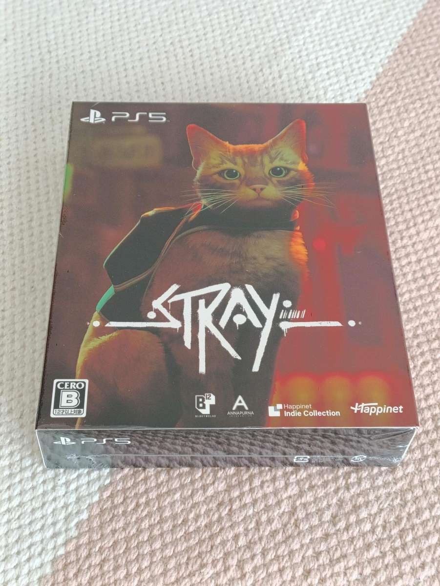 Stray PS 5 game