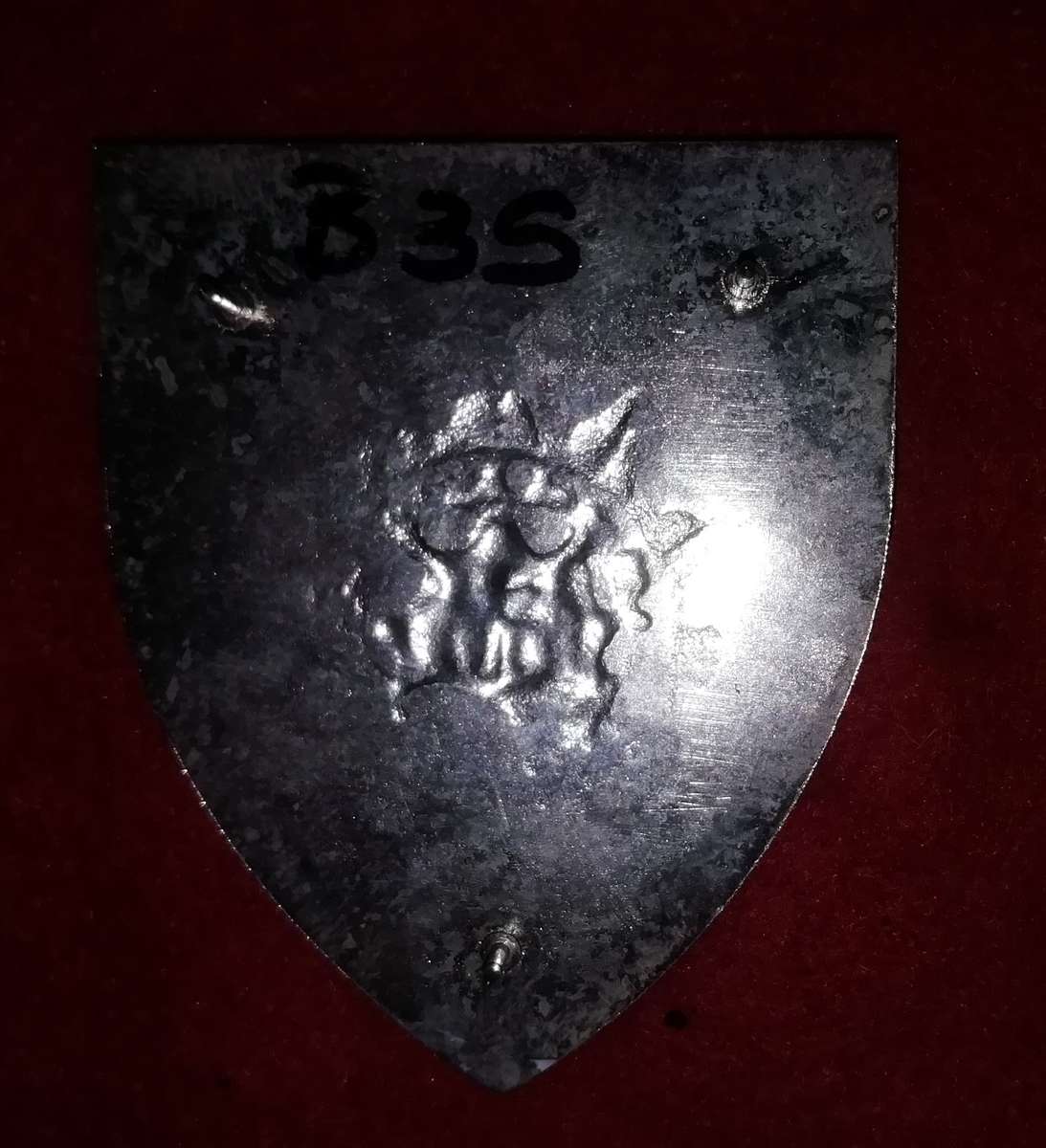 SWAPOL Shoulder flash