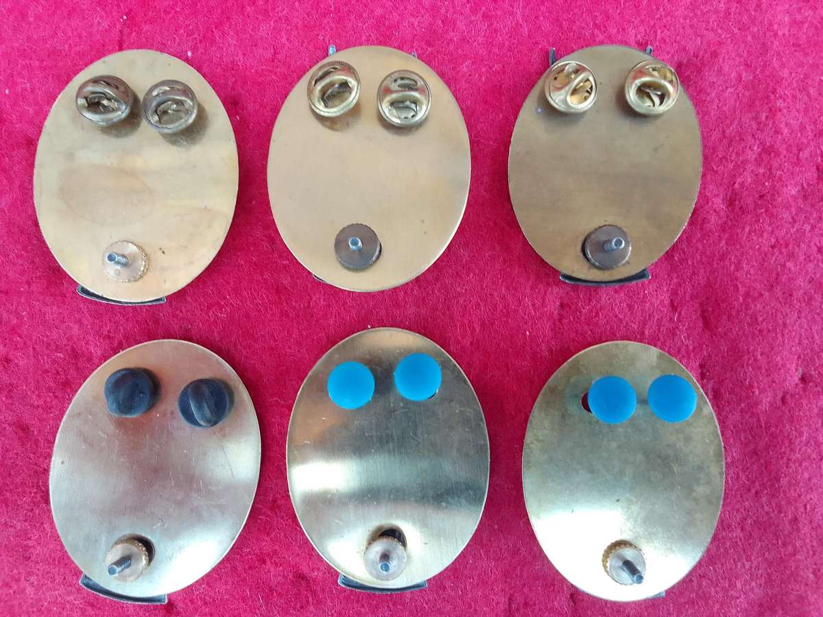 6 x SWATF HQ cap badges