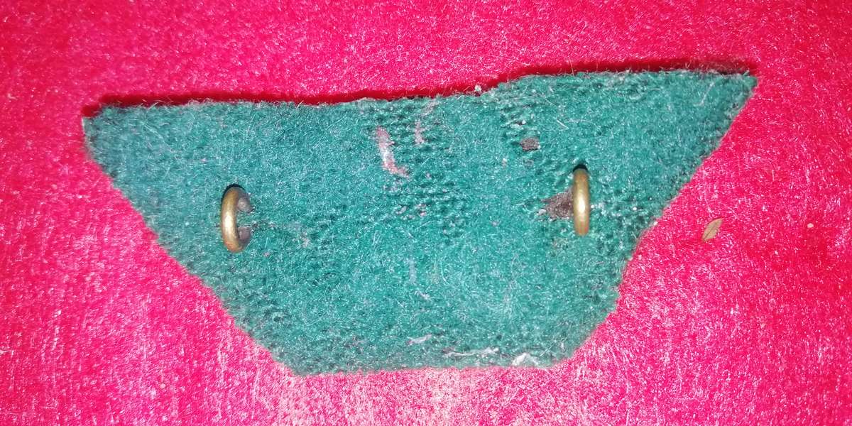 Rhodesian Selous Scouts para wings .