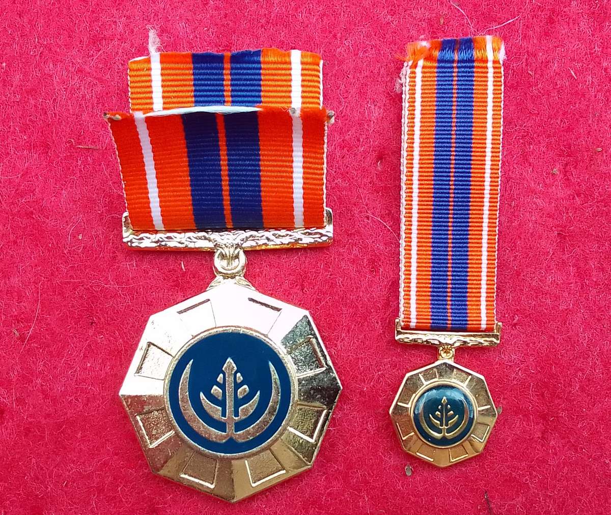 Pro Patria full size & miniature medal set