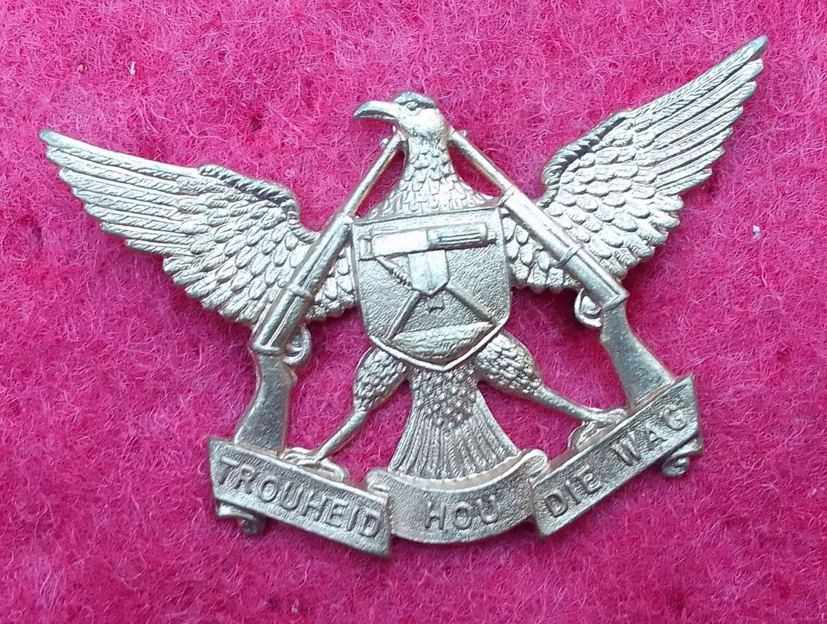REGT. DE WET  METAL CAP BADGE