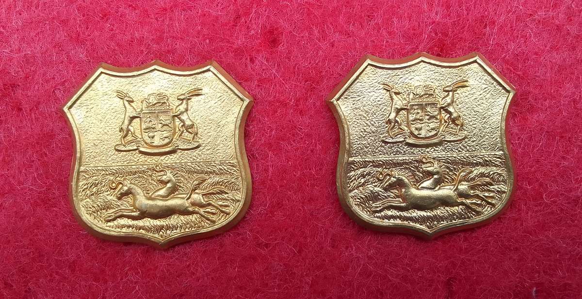 DURBAN LIGHT INFANTRY BRASS COLLAR BADGES X2 WORN POST 1964.