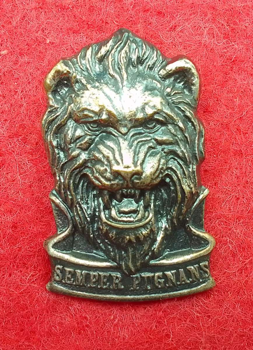 S.W.A.T.F. REACTION FORCE CAP BADGE