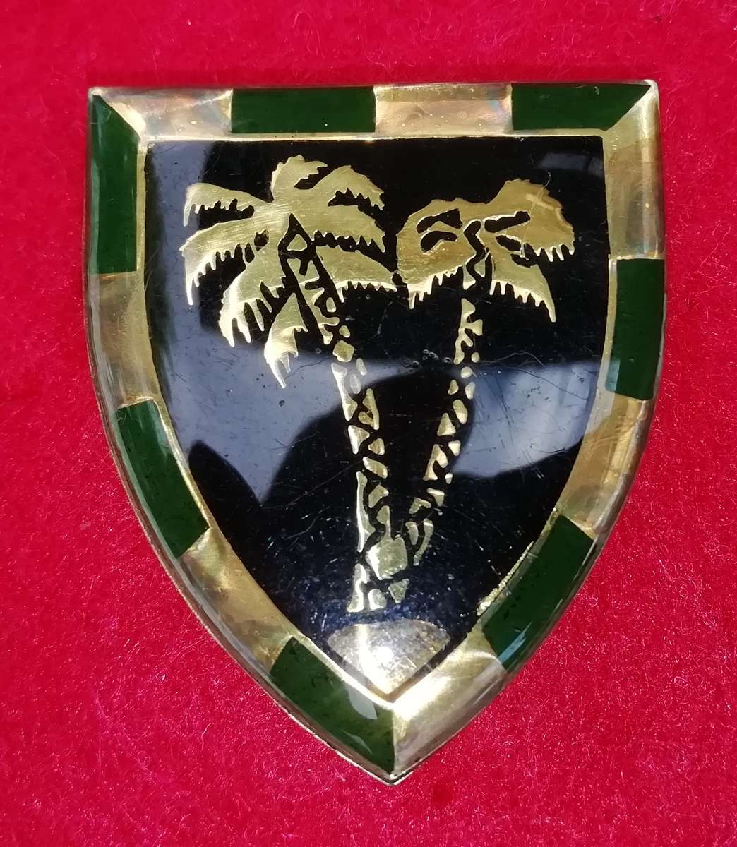 53 SA Infantry Shoulder Flash