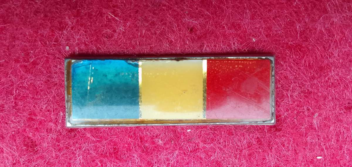 ORDNANCE SERVICES CORPS BERET BAR