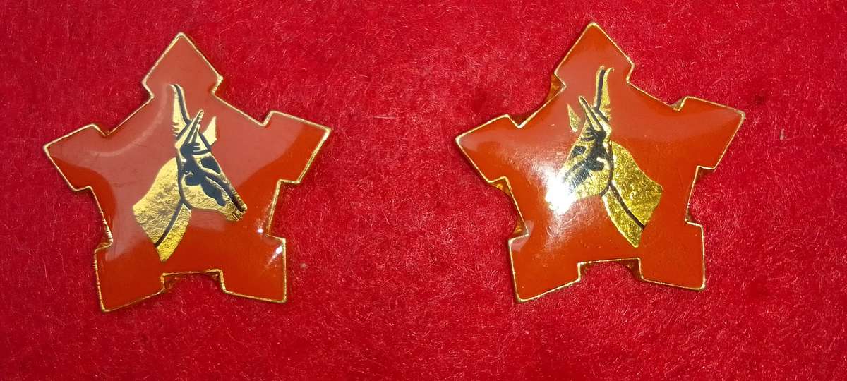 ARMY SERGEANT MAJOR COLLAR BADGE SET