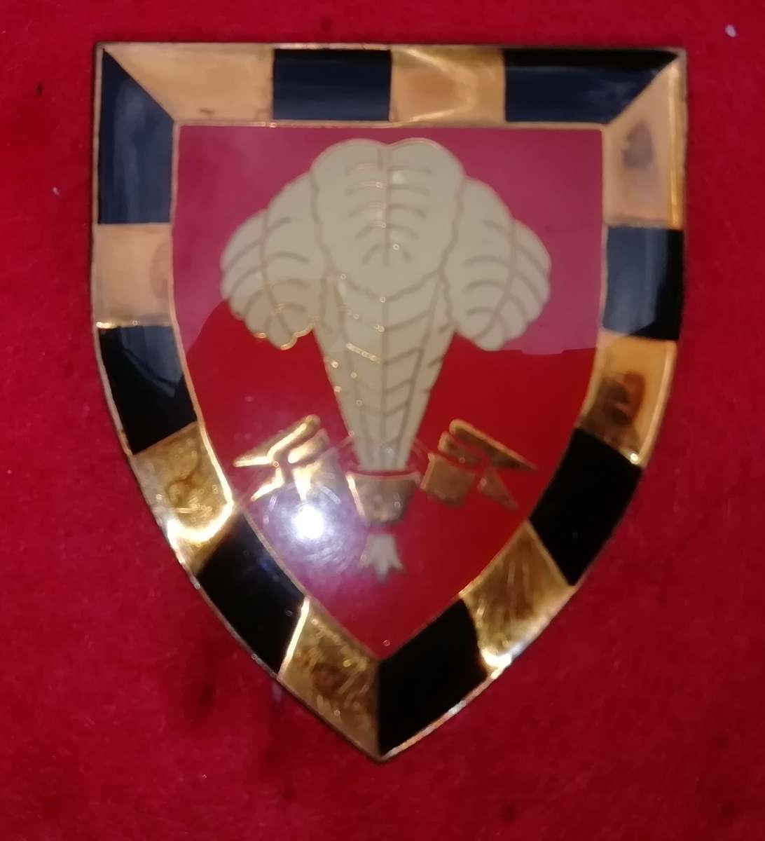 1 SAI shoulder flash ( feather )