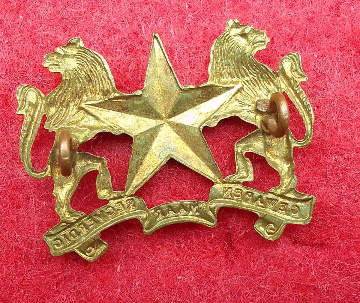 REGIMENT MOLOPO CAP BADGE