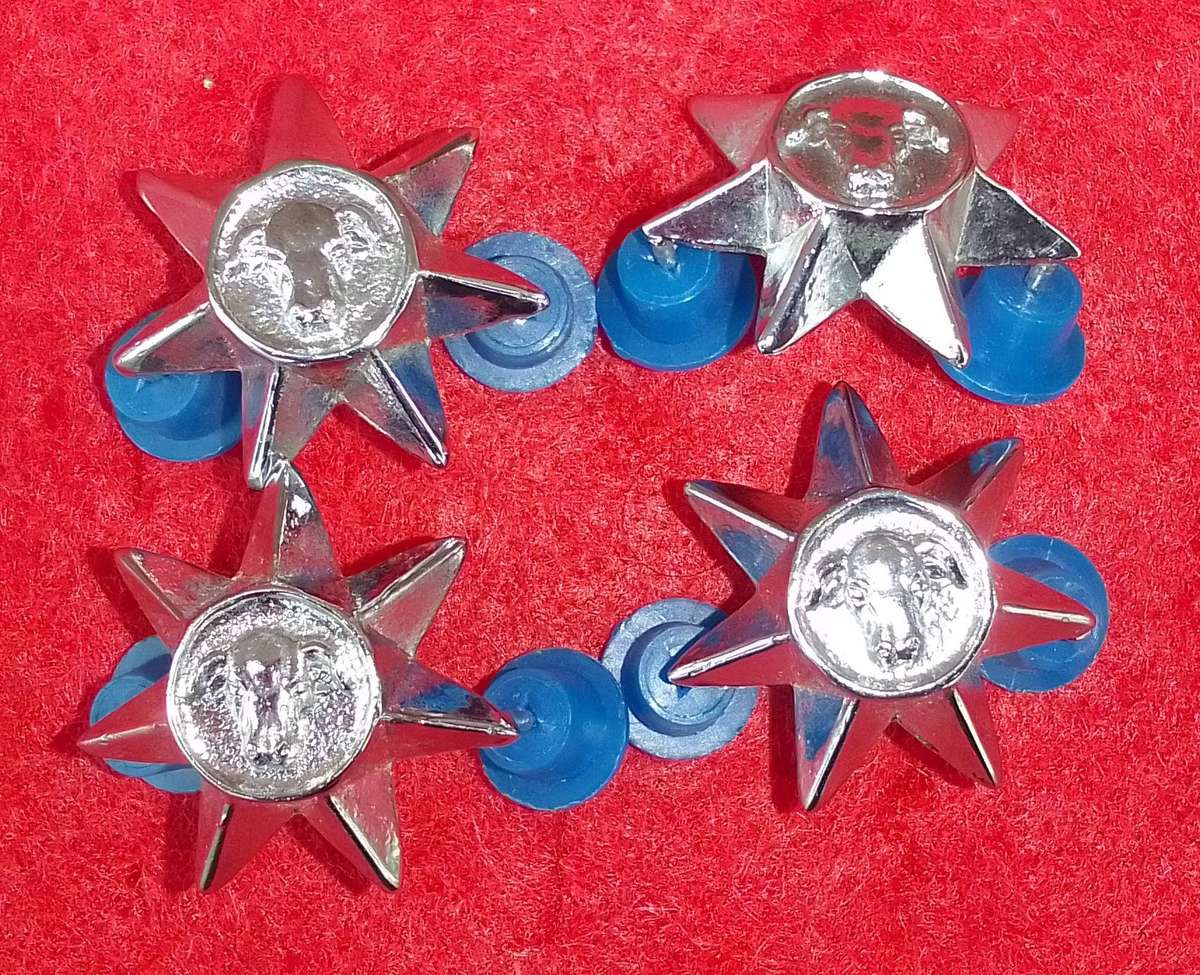 4 X HOMELANDS OFFICERS PIPS