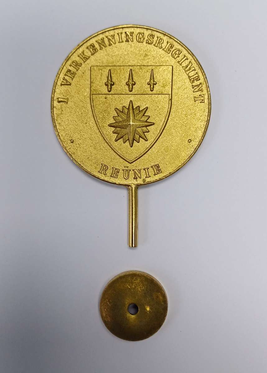 1 Reconnaissance Command Reunion Standard