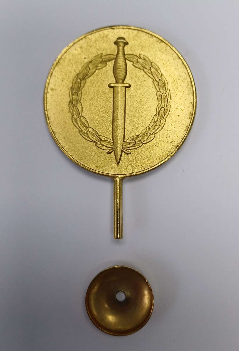 1 Reconnaissance Command Reunion Standard