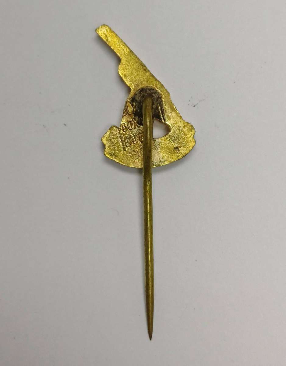 Springbok Irish Tour Pin Badge