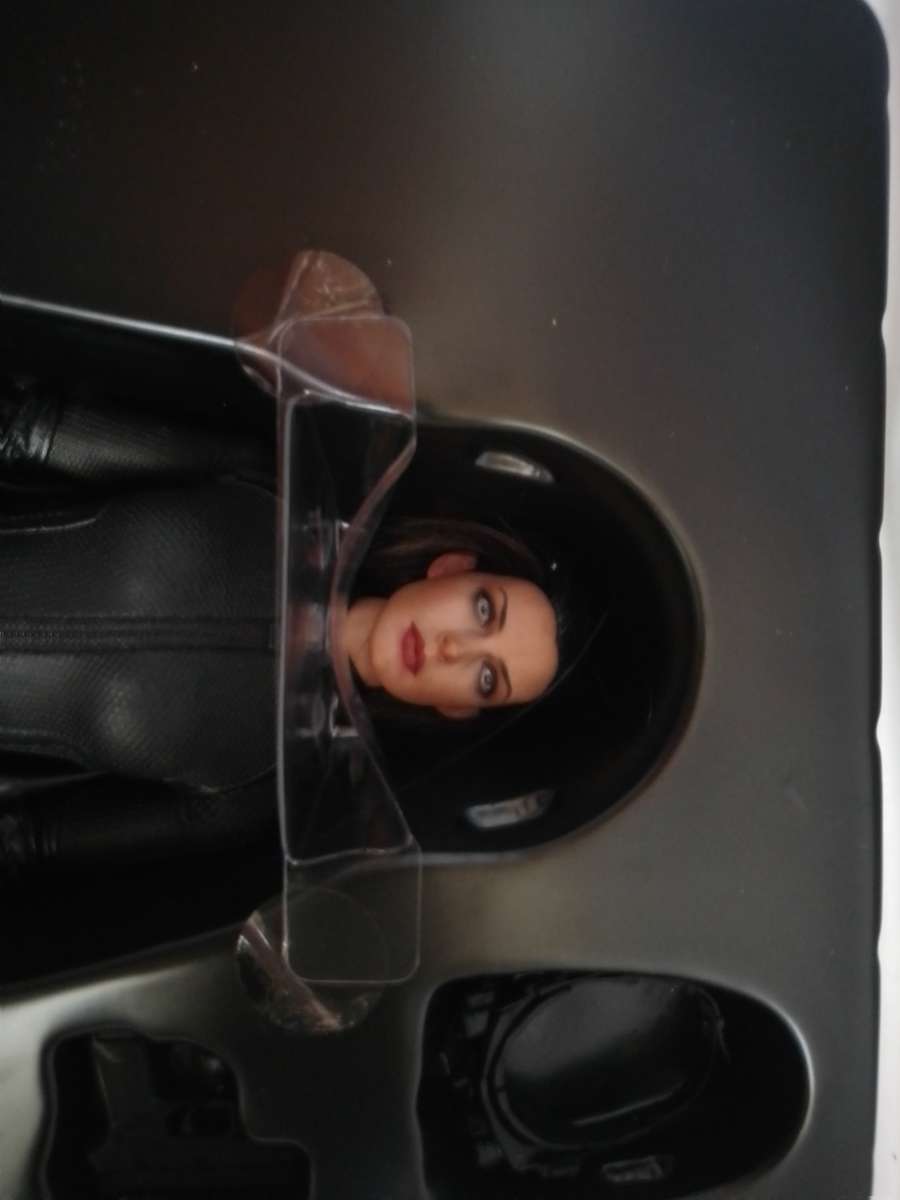 Hot Toys Selina Kyle - Catwoman The Dark Knight Rises 1/6 Scale Figure