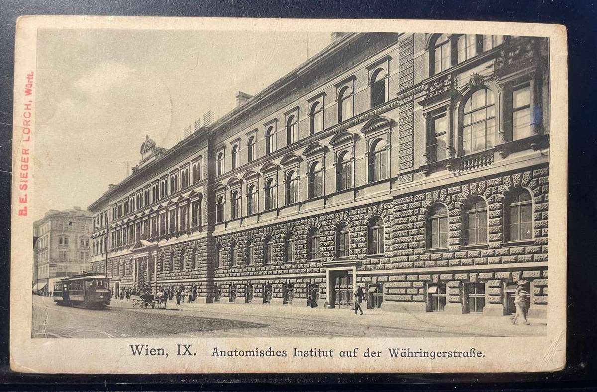 GERMANY "GRAF ZEPPELIN" AUSTRIA FLIGHT WIEN FLIGHT 12 JULY 1931 - SPECIAL CANCELLED FLOWN POSTCARD