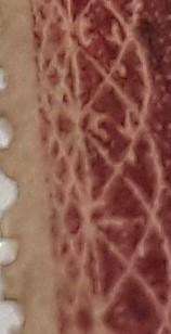 ENGLAND HIGH VALUE STAMPS- PLATE 122