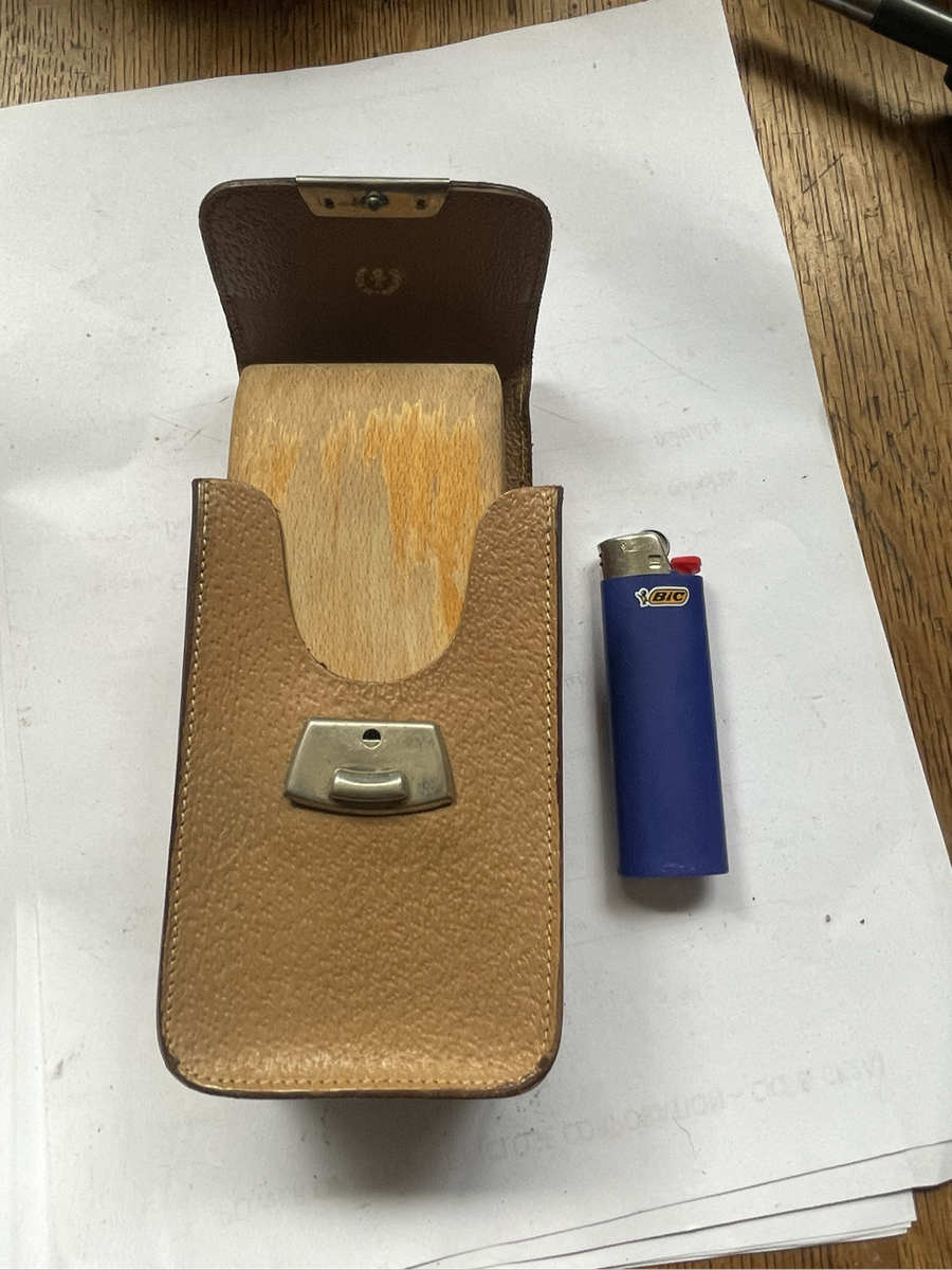 Vintage Brush in Leather Case