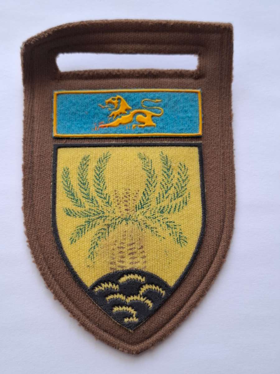 SADF Nutria Shoulder Flash - 4 SAI Infantry Battalion with Eastern TvL Command Bar