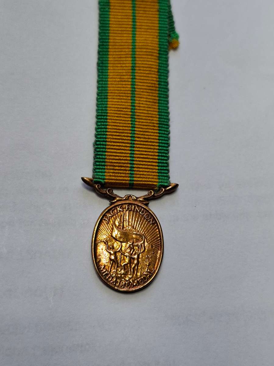 SADF - Jack Hindon medal - miniature (Light version)