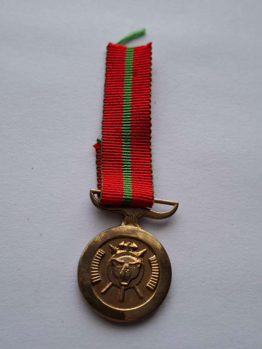 SADF / Homelands medal - Bophuthatswana Distinguished Gallantry Medal? - miniature