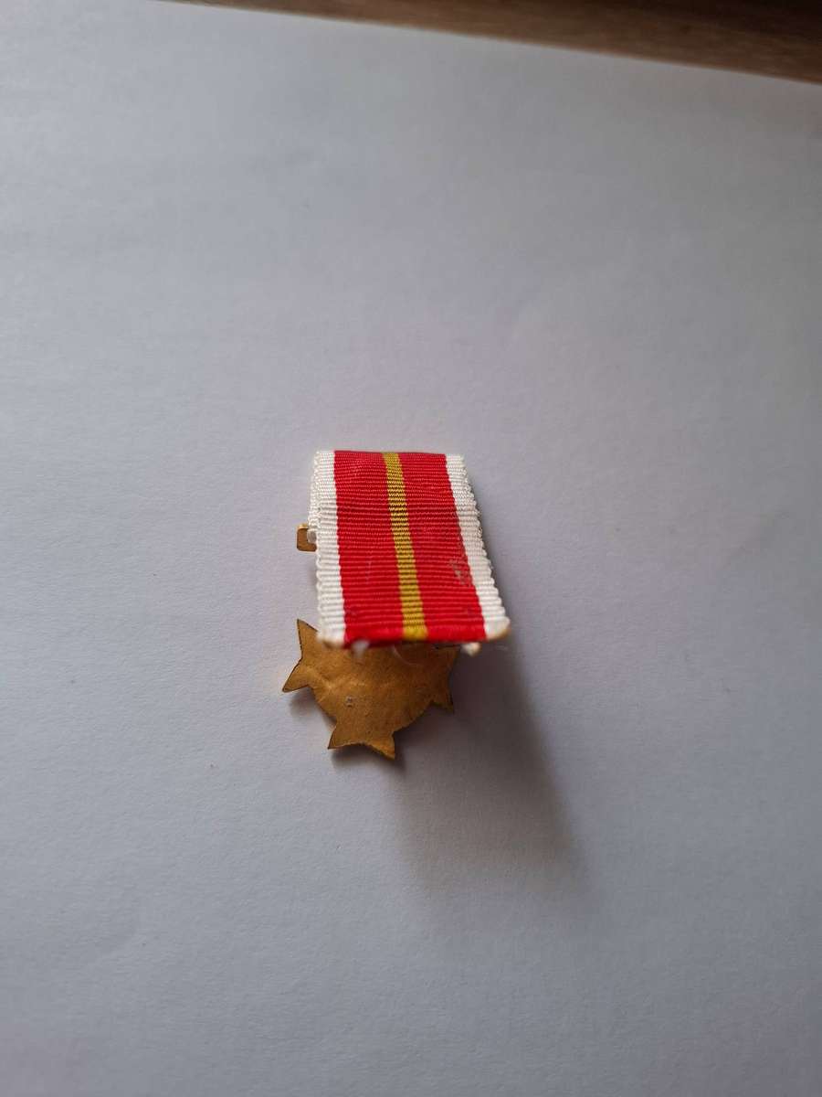 SWA Police medal - miniature - Distinguished Service