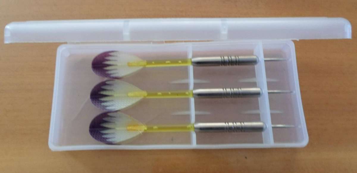 Darts Set
