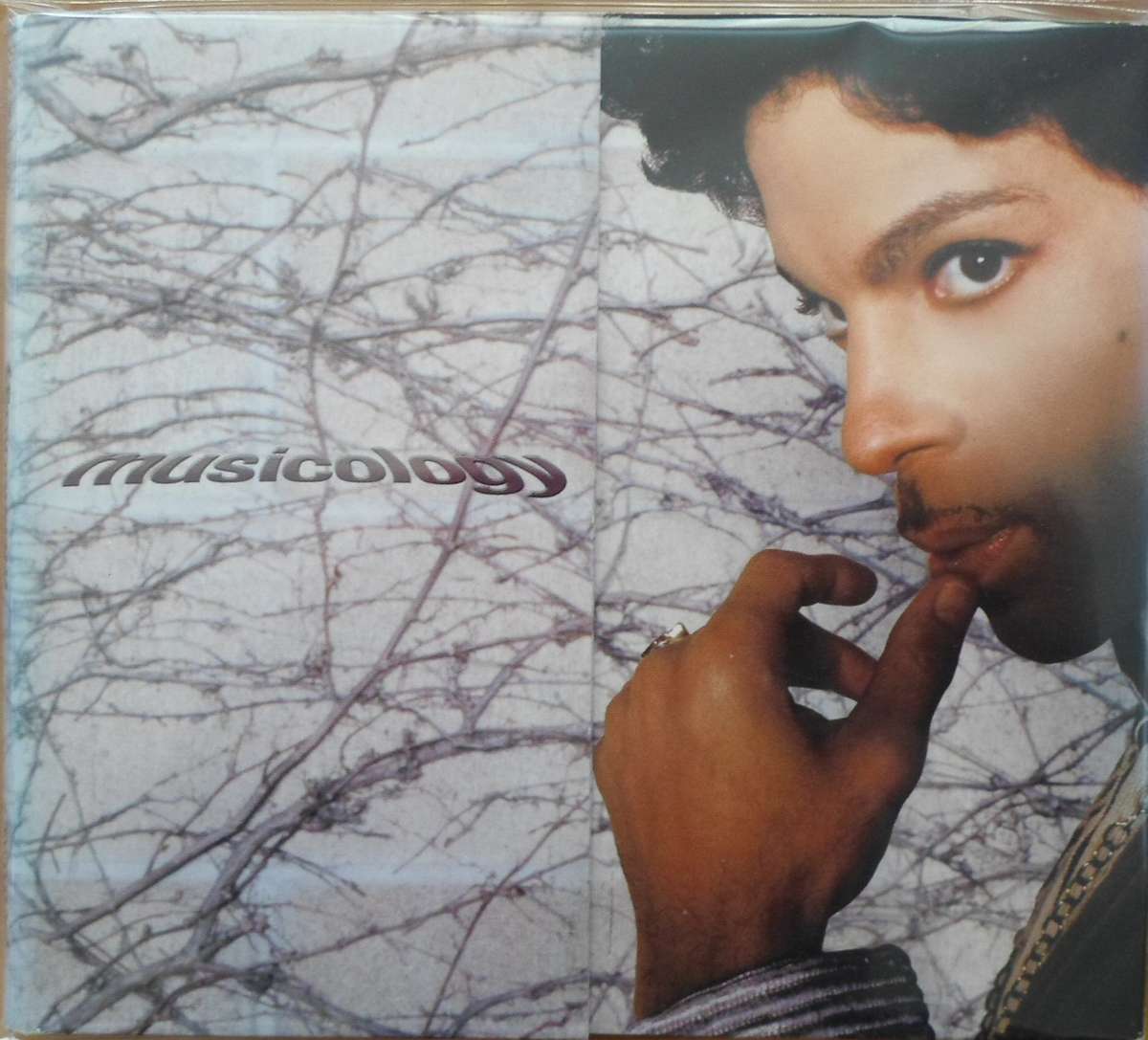 Prince - Musicology