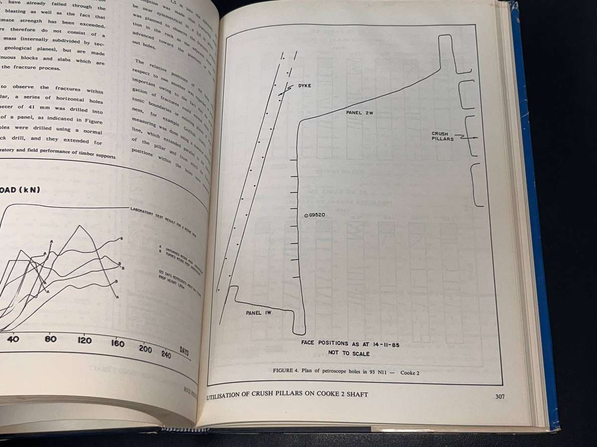 GOLD 100 2 VOLUME SET EXTRACTIVE METALLURGY OF GOLD