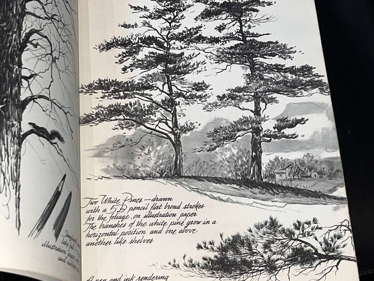 MORE TREES BY FREDERICK GARNER BOOK NO. 2 TO HELP YOU DRAW TREES