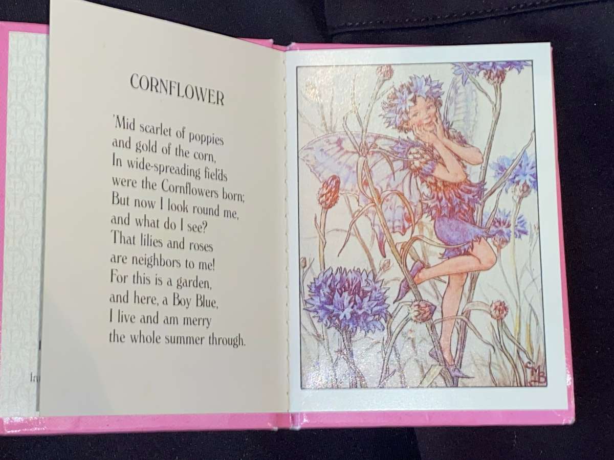 FLOWER FAIRIES MINIATURE LIBRARY BY CICELY MARY BAKER