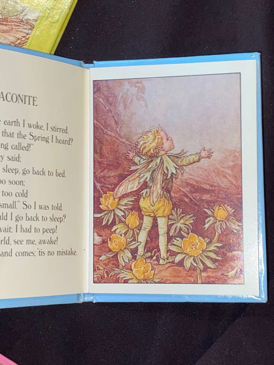 FLOWER FAIRIES MINIATURE LIBRARY BY CICELY MARY BAKER