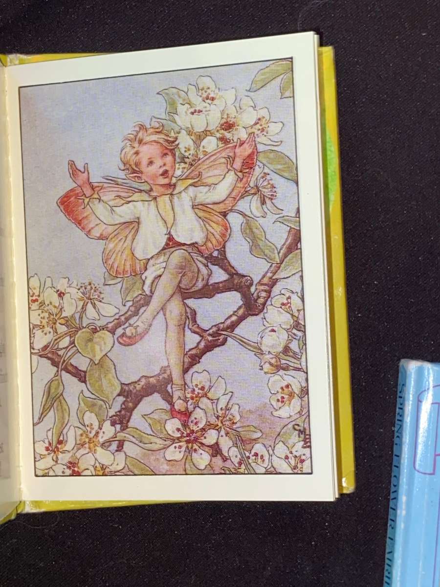FLOWER FAIRIES MINIATURE LIBRARY BY CICELY MARY BAKER