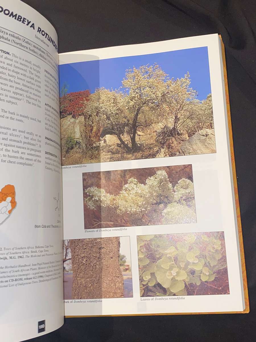 MEDICINAL PLANTS OF SOUTH AFRICA