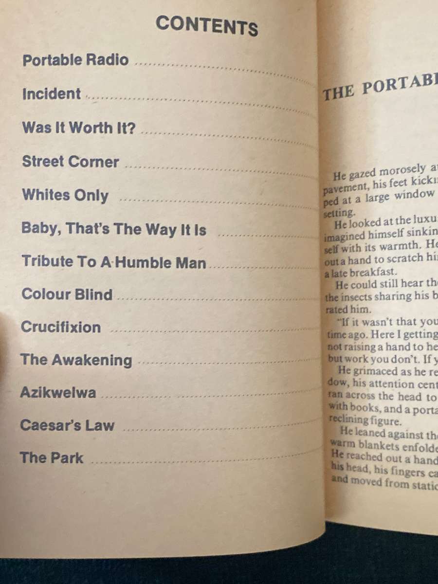 THE PARK AND OTHER STORIES BY JAMES MATTHEWS