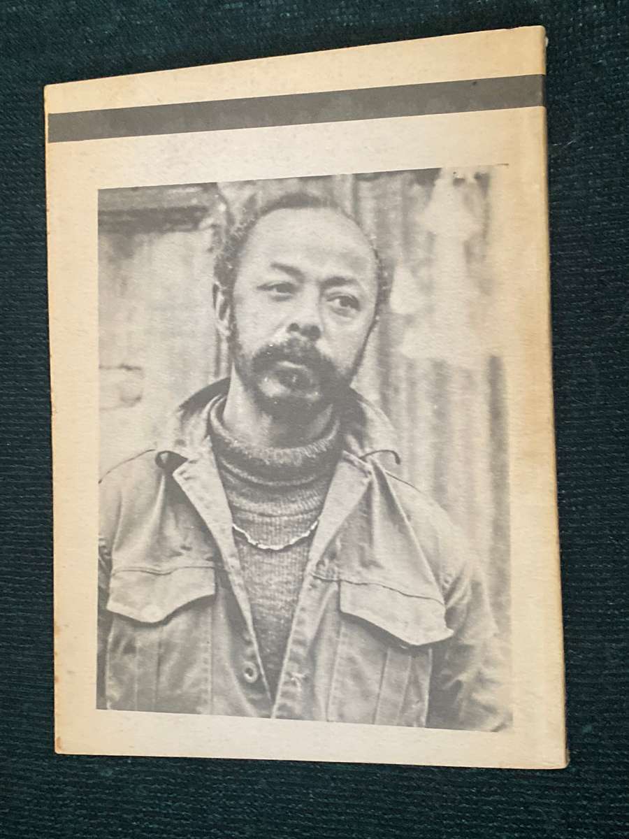 THE PARK AND OTHER STORIES BY JAMES MATTHEWS