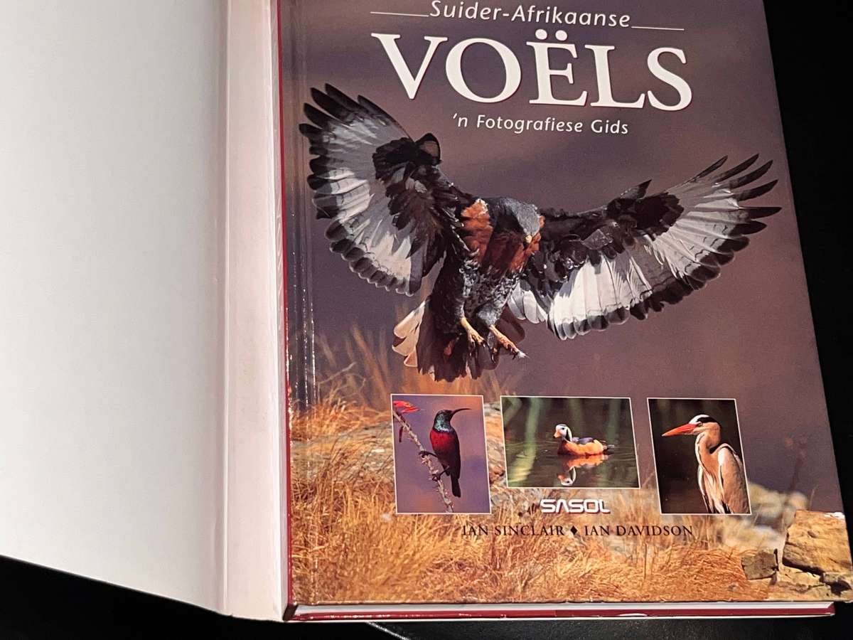 SUIDER-AFRIKAANSE VOELS 'N FOTOGRAFIESE GIDS