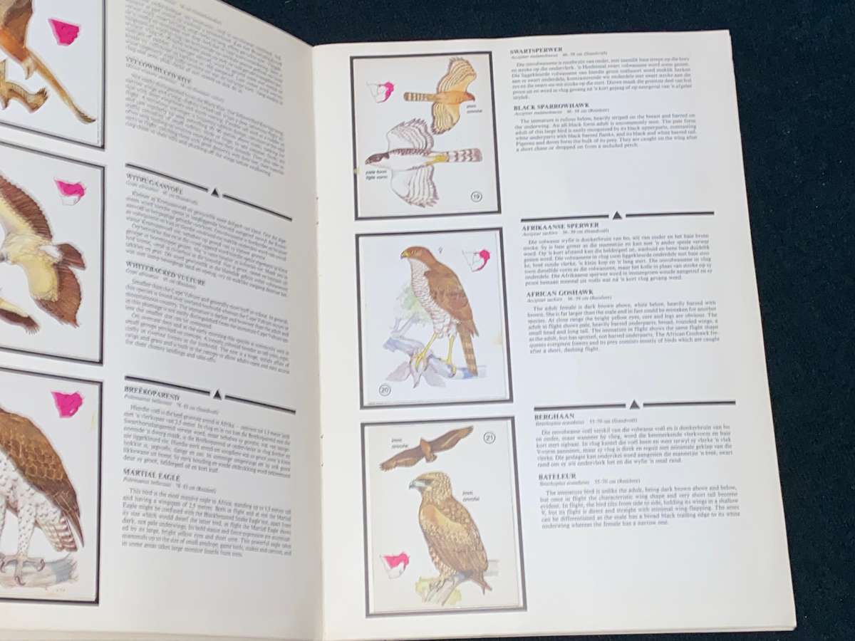 WEET-BIX BIRDS OF PREY ALBUM