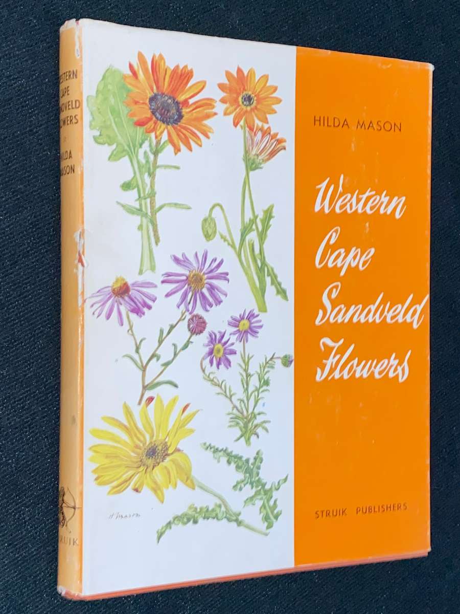 WESTERN CAPE SANDVELD FLOWERS BY HILDA MASON