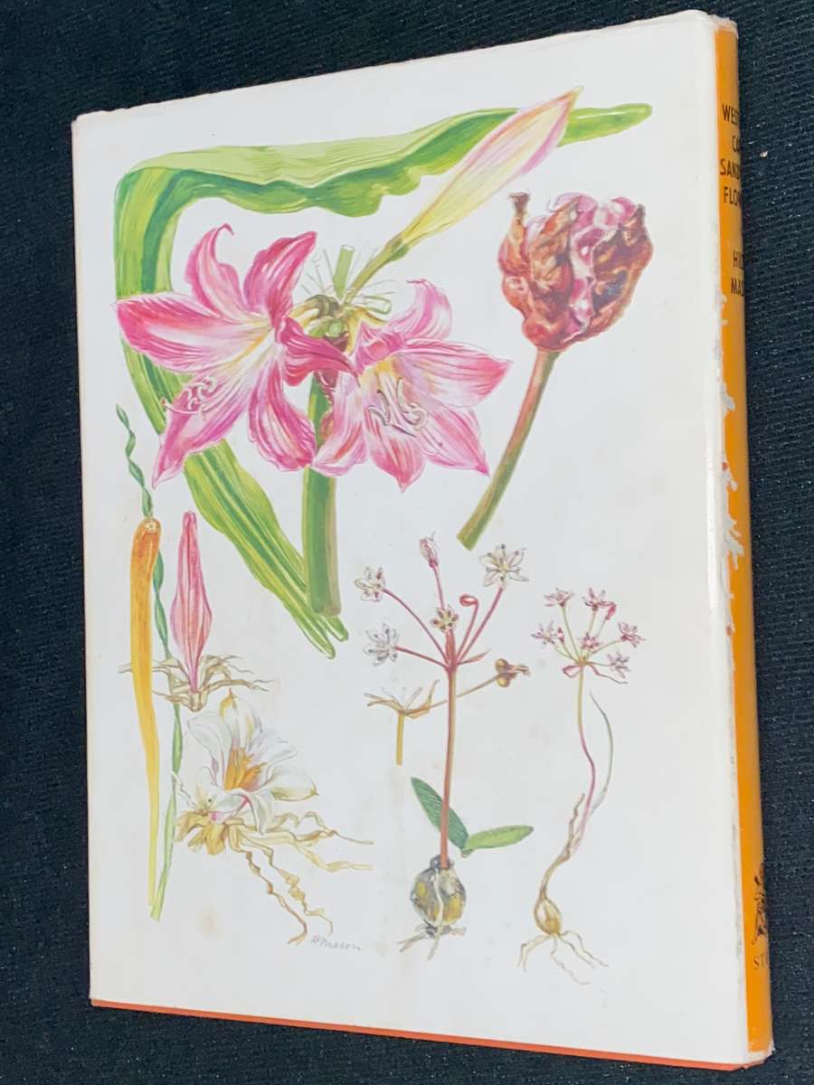 WESTERN CAPE SANDVELD FLOWERS BY HILDA MASON